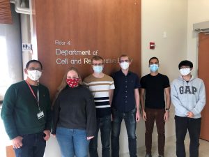 Group of students wearing masks and standing in front of sign that says "Department of Cell and Regenerative Biology." 
