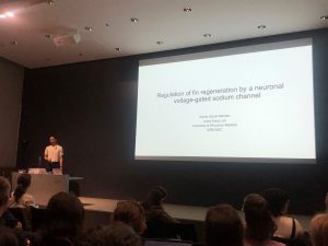 Student on stage presenting a PowerPoint. 